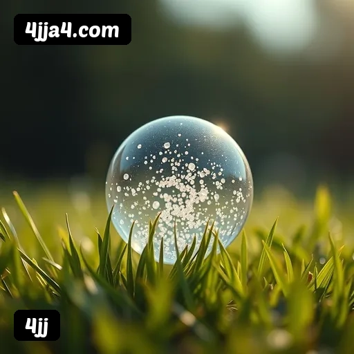 Níveis do programa VIP da 4jj